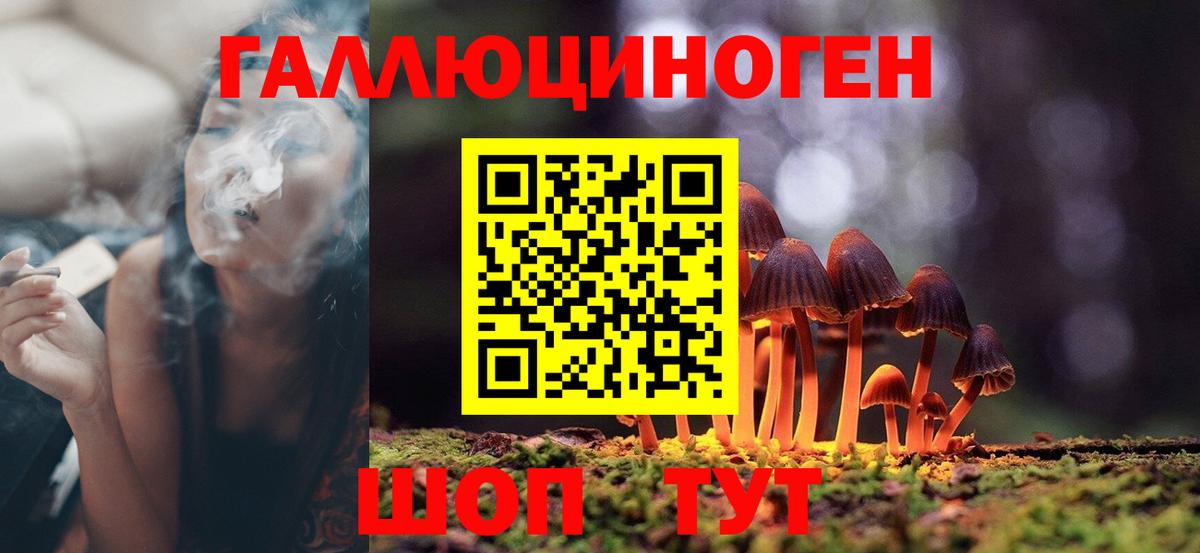 Псилоцибиновые грибы Magic Shrooms Майкоп