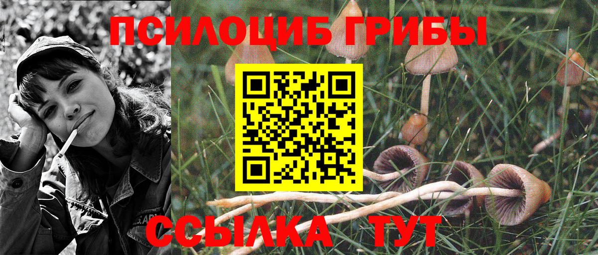Галлюциногенные грибы Cubensis  Вход с VPN  Галлюциногенные грибы GOLDEN TEACHER  Майкоп 